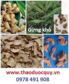 Trà gừng nghệ- Giảm cân, làm đẹp da