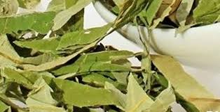 Giảm cân, hạ mỡ máu hiệu quả bằng thảo dược