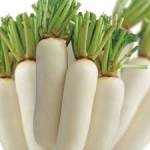 Củ cải trắng - thuốc quý cho sức khỏe