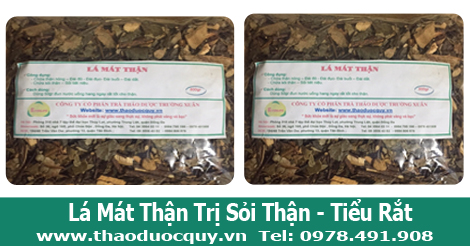 hình ảnh cho lá mát thận sapa